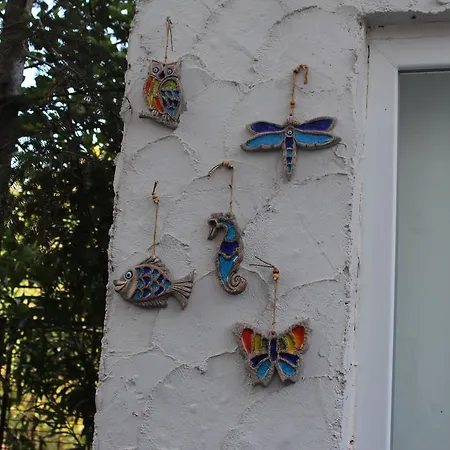 Butik Konukevi 1 Villa Sapanca