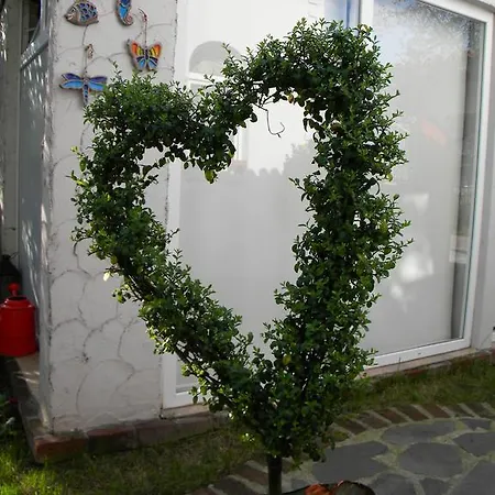 Butik Konukevi 1